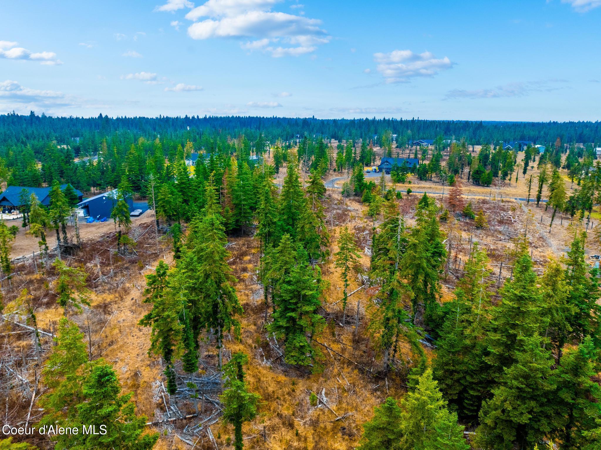 Lot12Blk1 E Sedgwick Ln, Athol, Idaho image 18