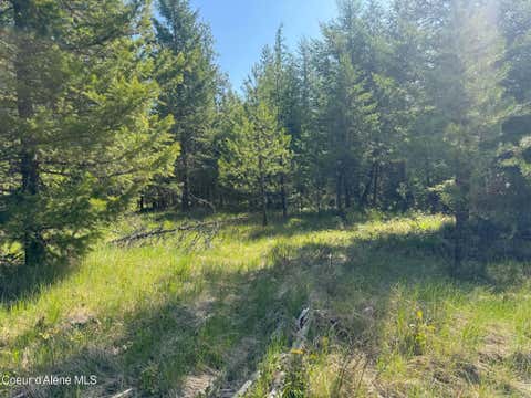 Vacant Land For Sale - NKA Backroads Way Lot 2<br/> Priest River, ID 83856