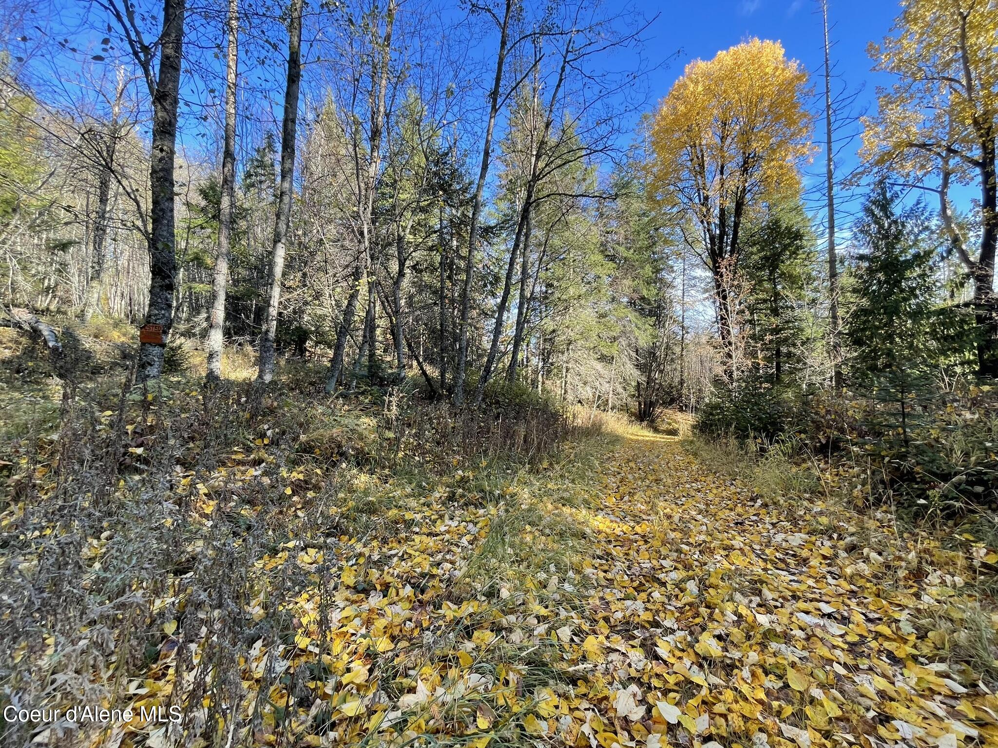 Nna Moonbeam Road, Sagle, Idaho image 22