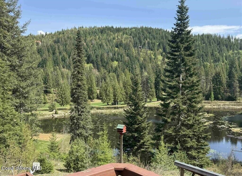 Photo of 1959 Thimbleberry Ln, Sandpoint, ID 83864 (MLS # 25-4233)