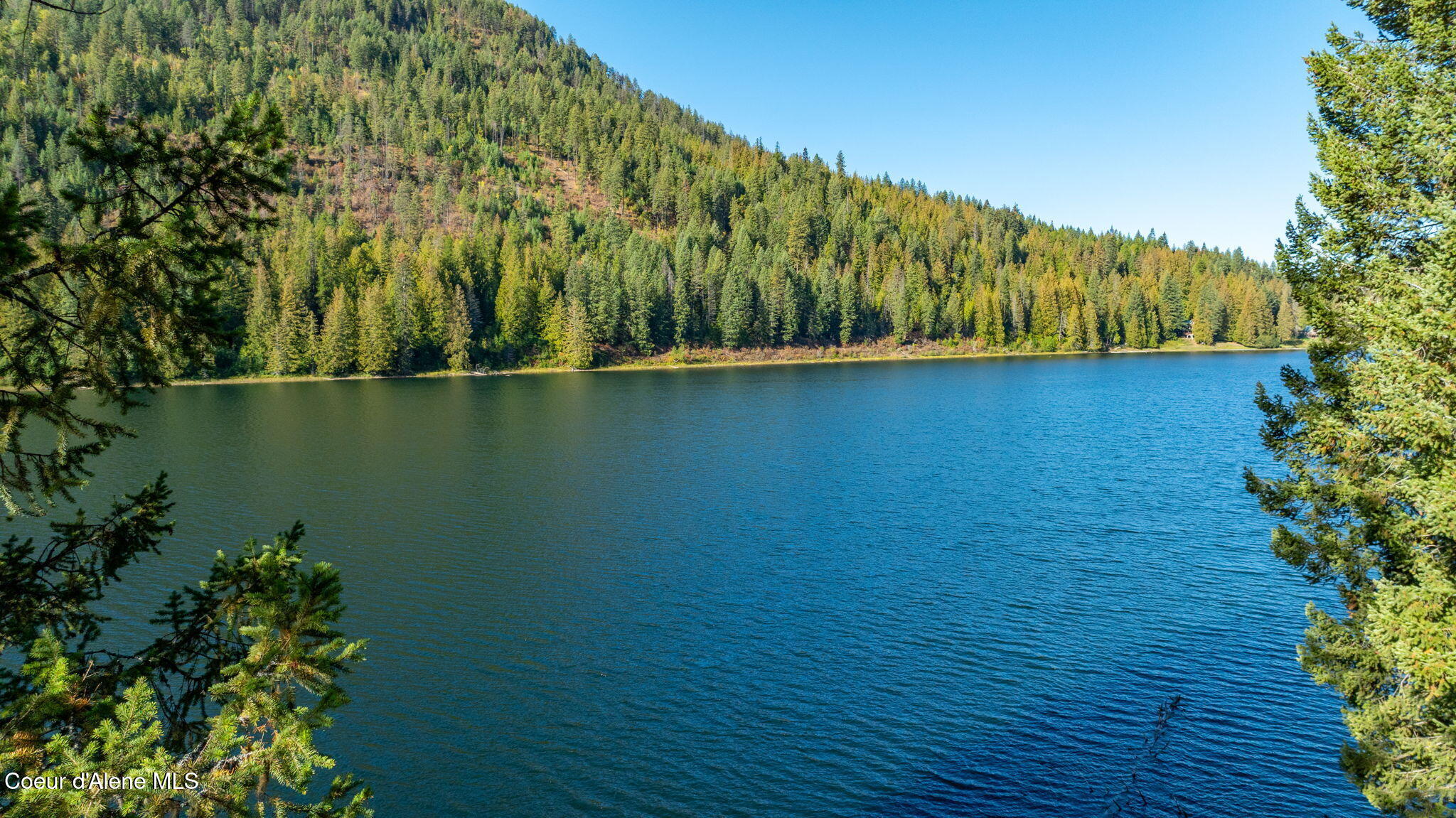 1402 Mirror Lake