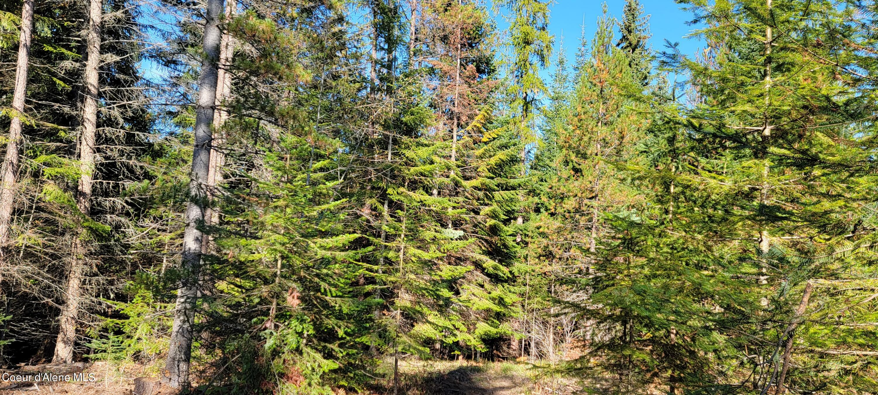 NNA Enchanted Lane #3, Bonners Ferry, Idaho image 15
