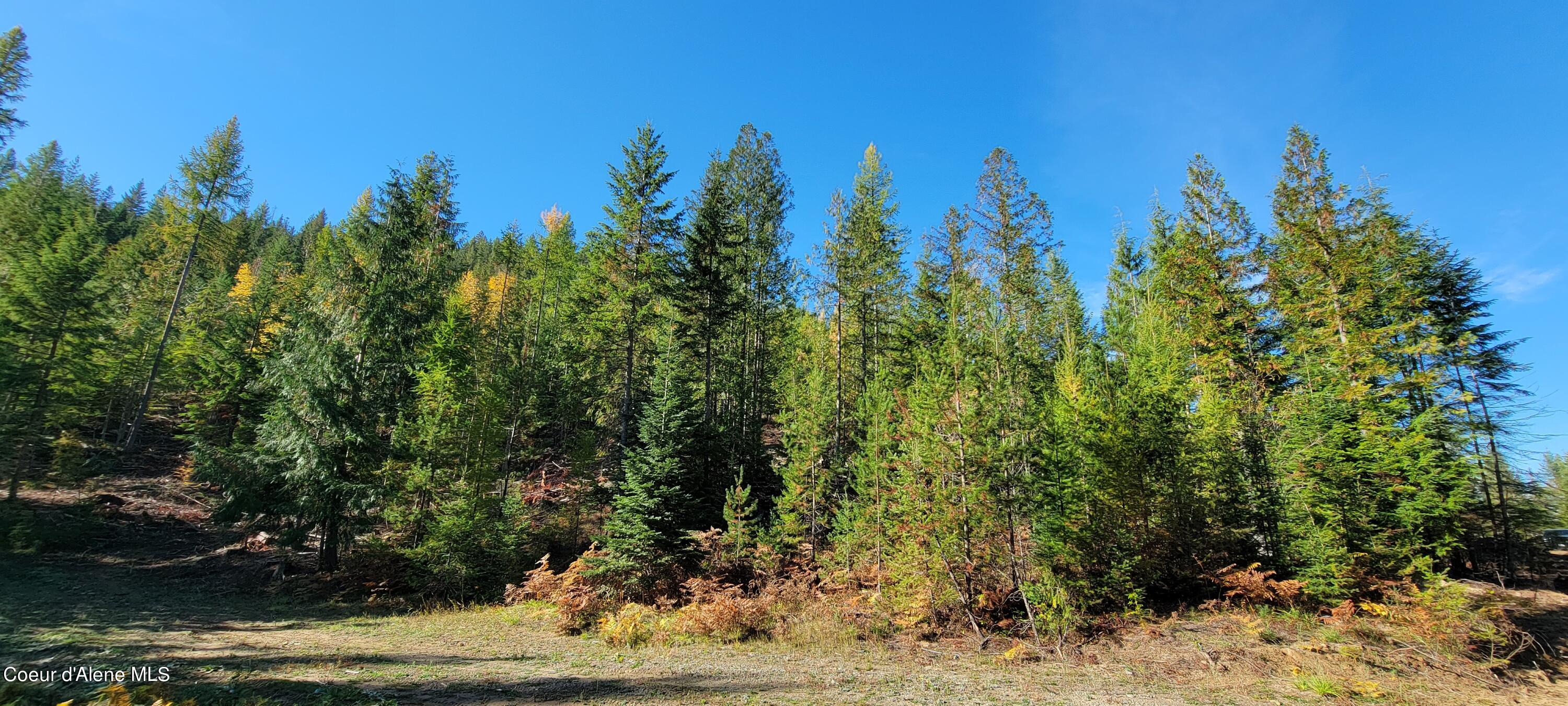 NNA Enchanted Lane #3, Bonners Ferry, Idaho image 17