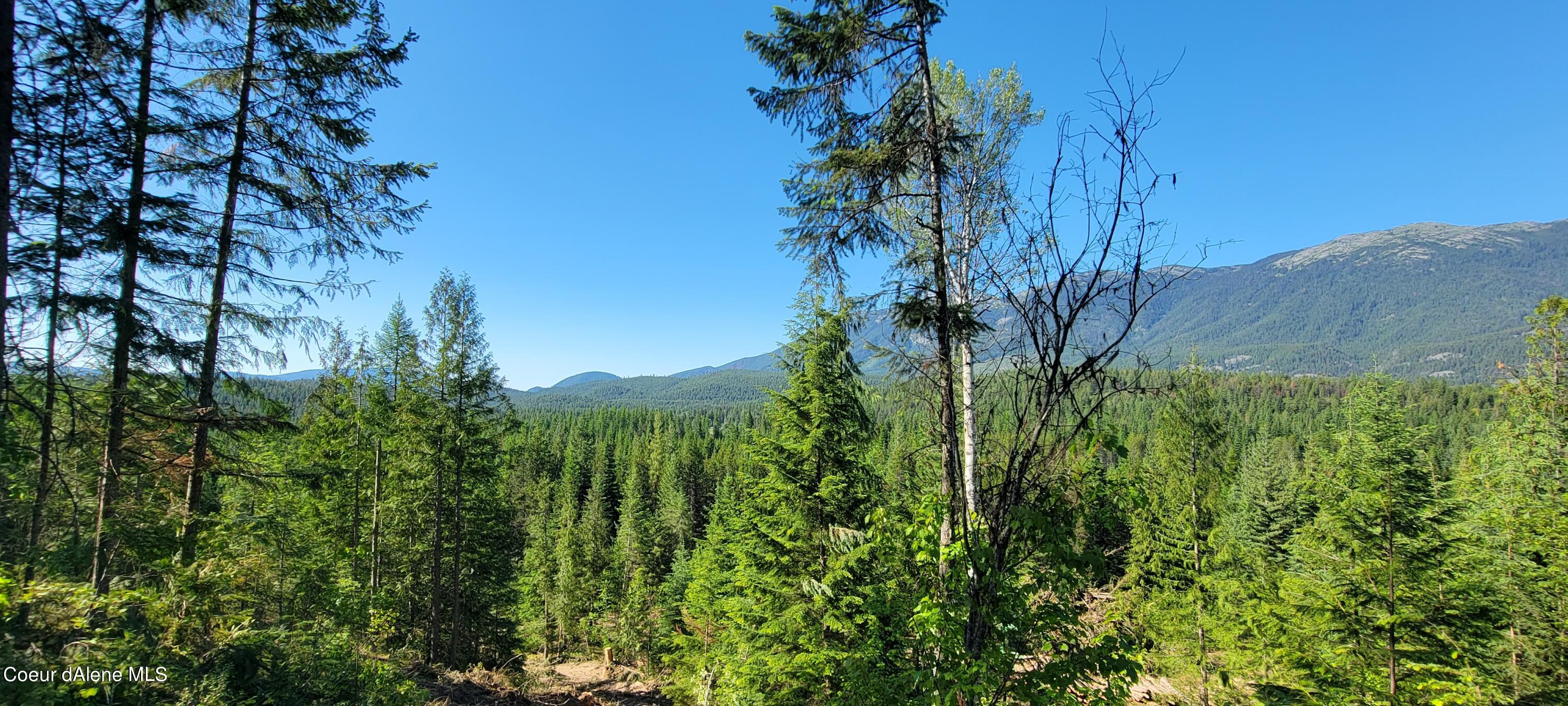 NNA Enchanted Lane #3, Bonners Ferry, Idaho image 9