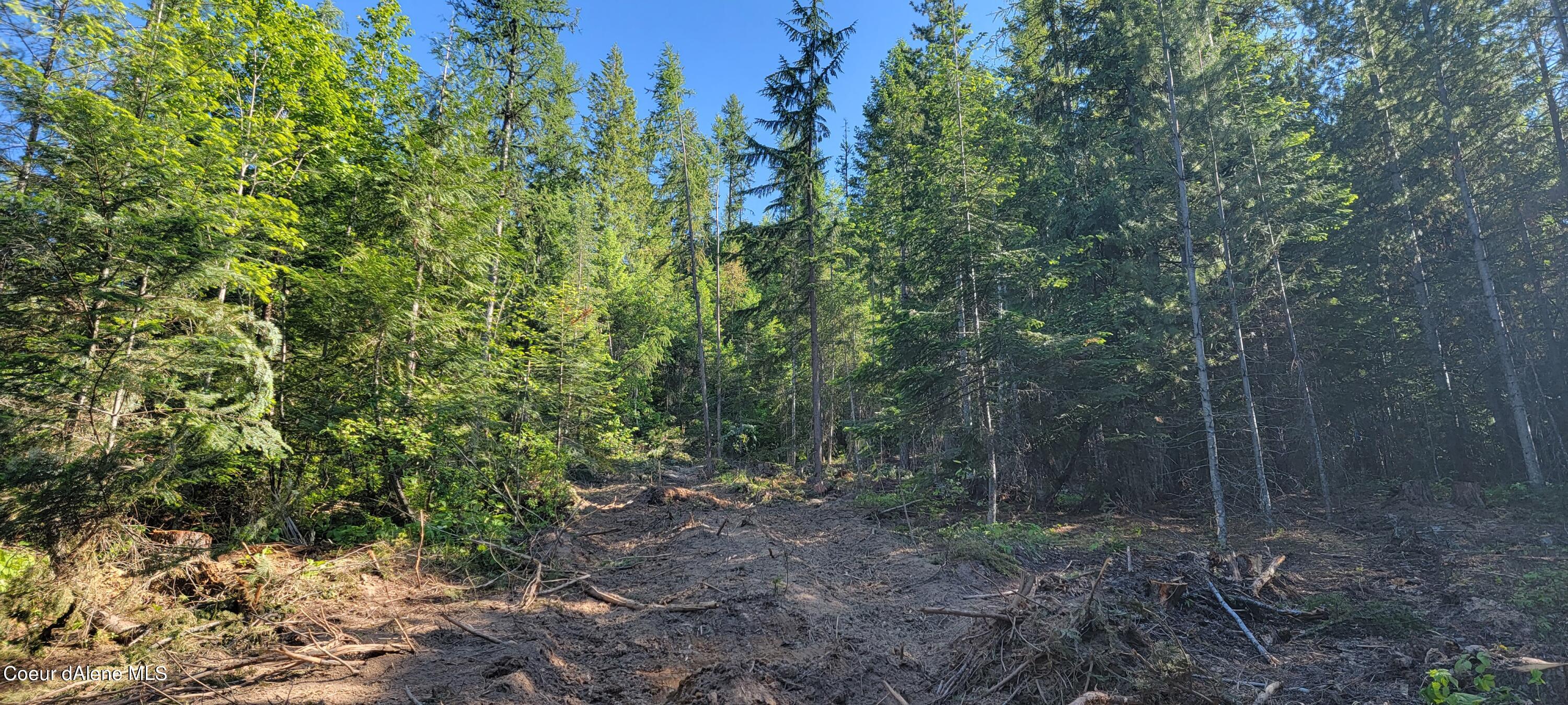 NNA Enchanted Lane #3, Bonners Ferry, Idaho image 4