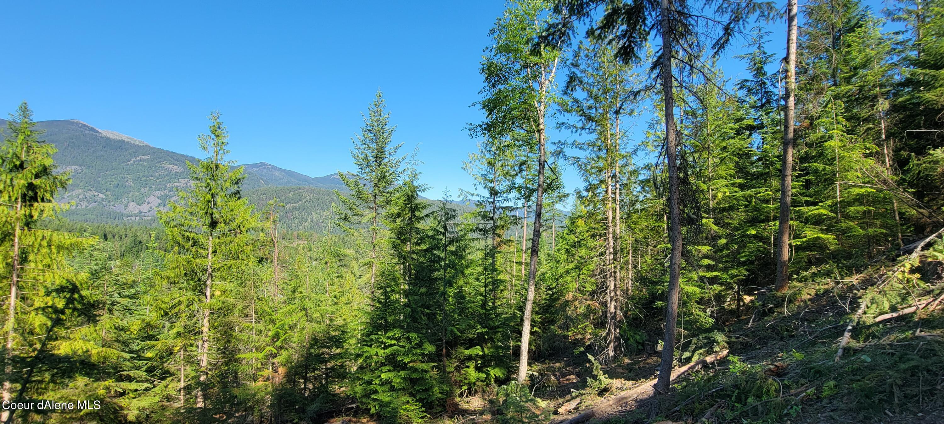 NNA Enchanted Lane #3, Bonners Ferry, Idaho image 8