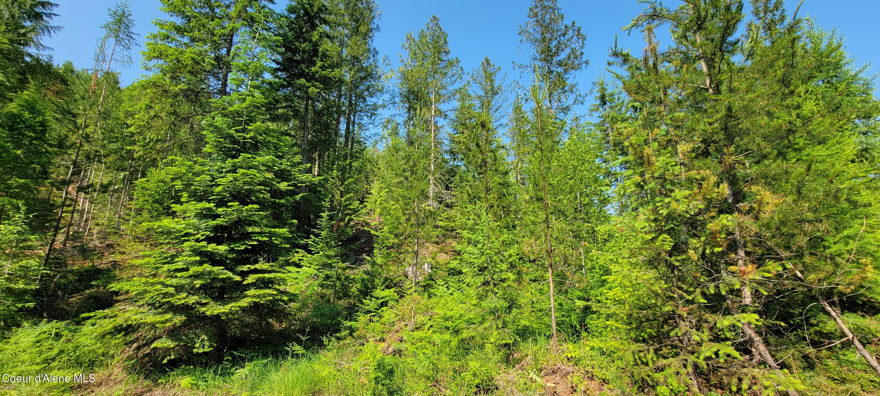 NNA Enchanted Lane #3, Bonners Ferry, Idaho image 12