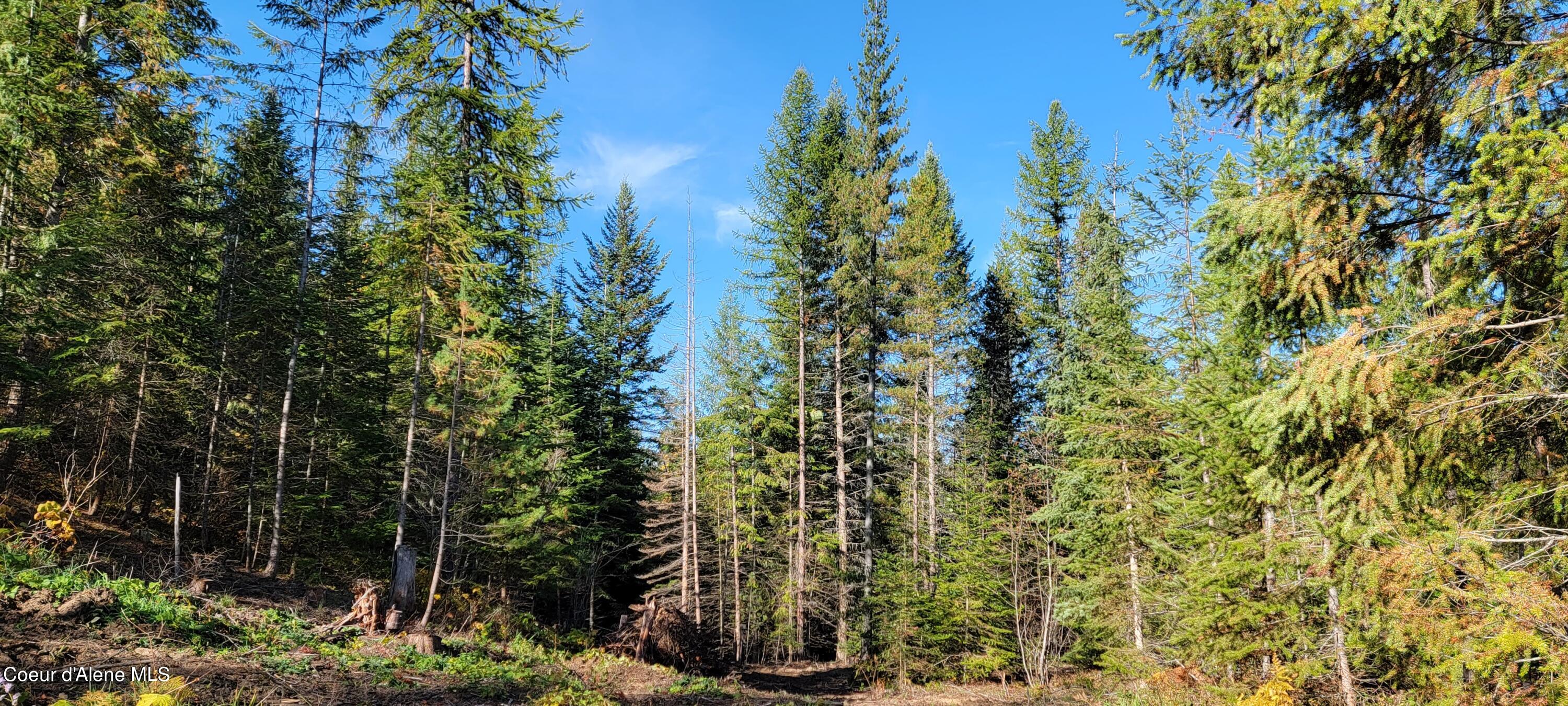 NNA Enchanted Lane #3, Bonners Ferry, Idaho image 14