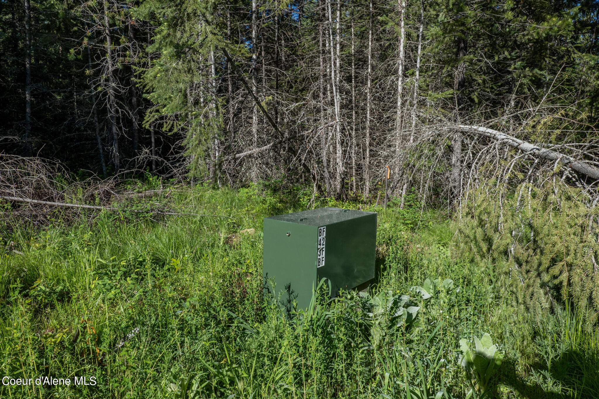 Lot 3 Flat Iron, Spirit Lake, Idaho image 10