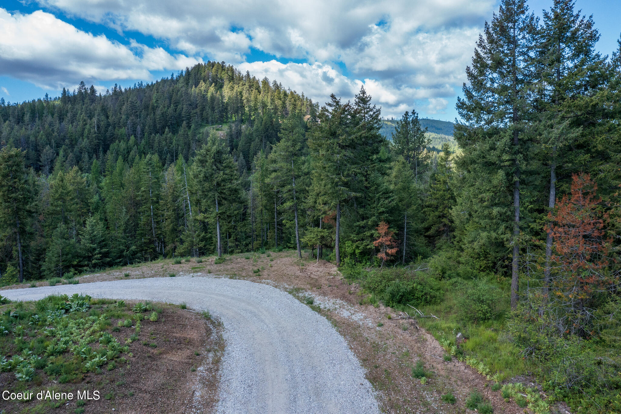 Lot 3 Flat Iron, Spirit Lake, Idaho image 1