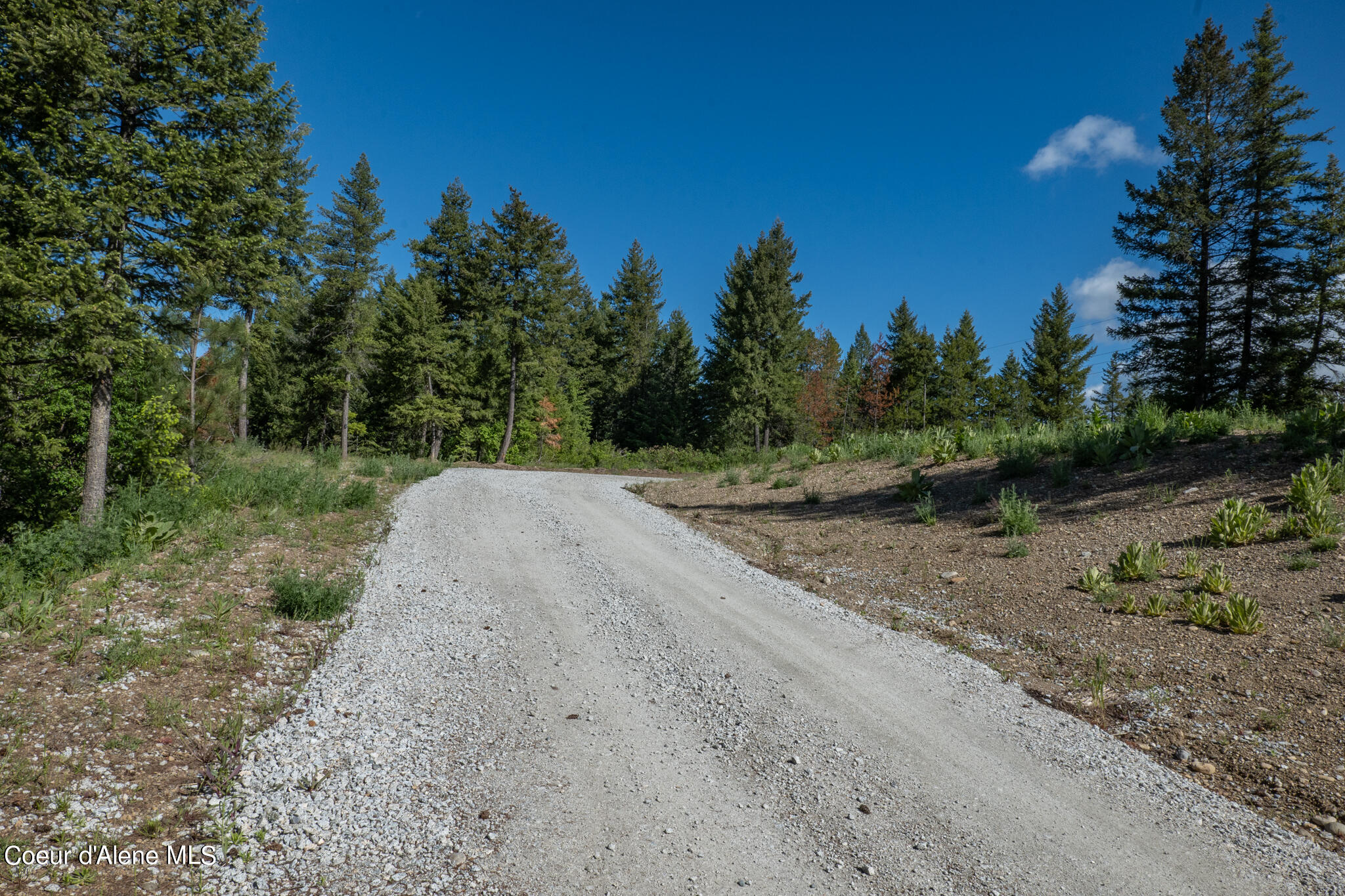 Lot 3 Flat Iron, Spirit Lake, Idaho image 46