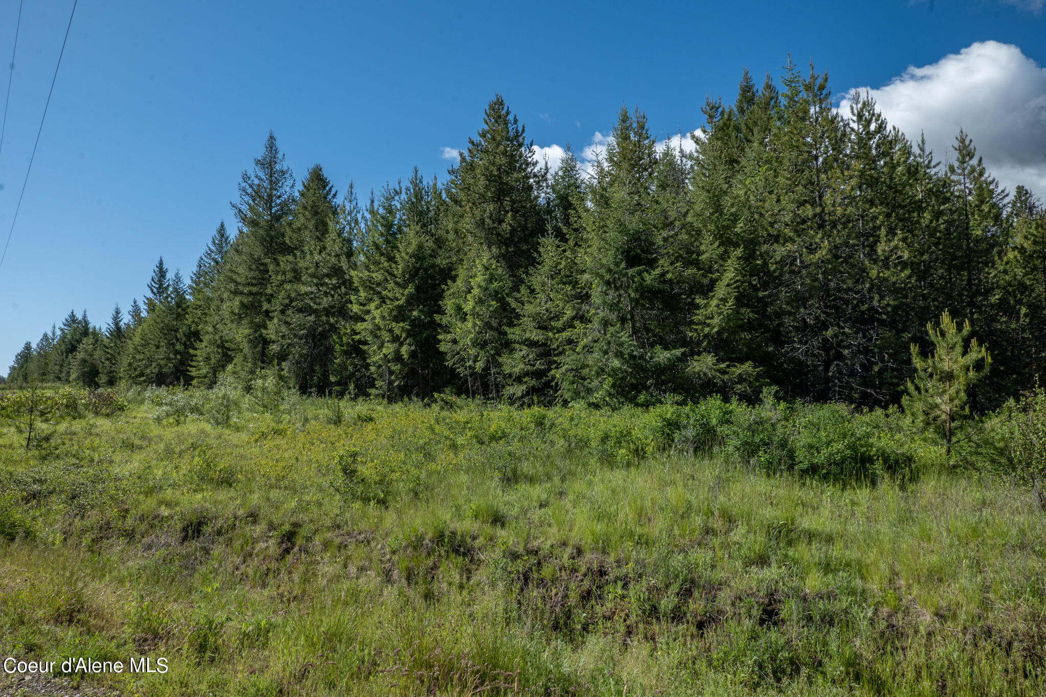 Lot 3 Flat Iron, Spirit Lake, Idaho image 34