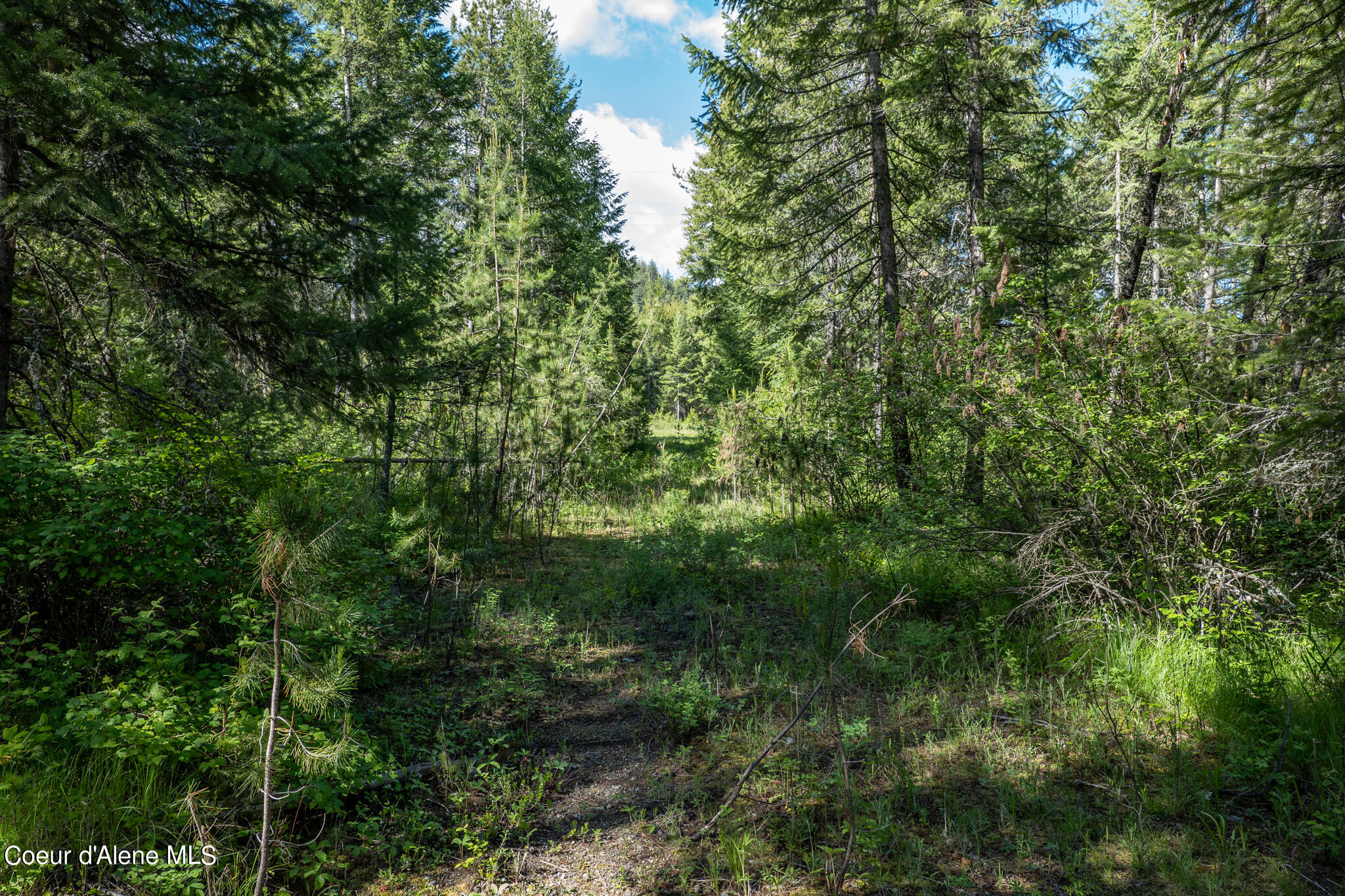 Lot 3 Flat Iron, Spirit Lake, Idaho image 29