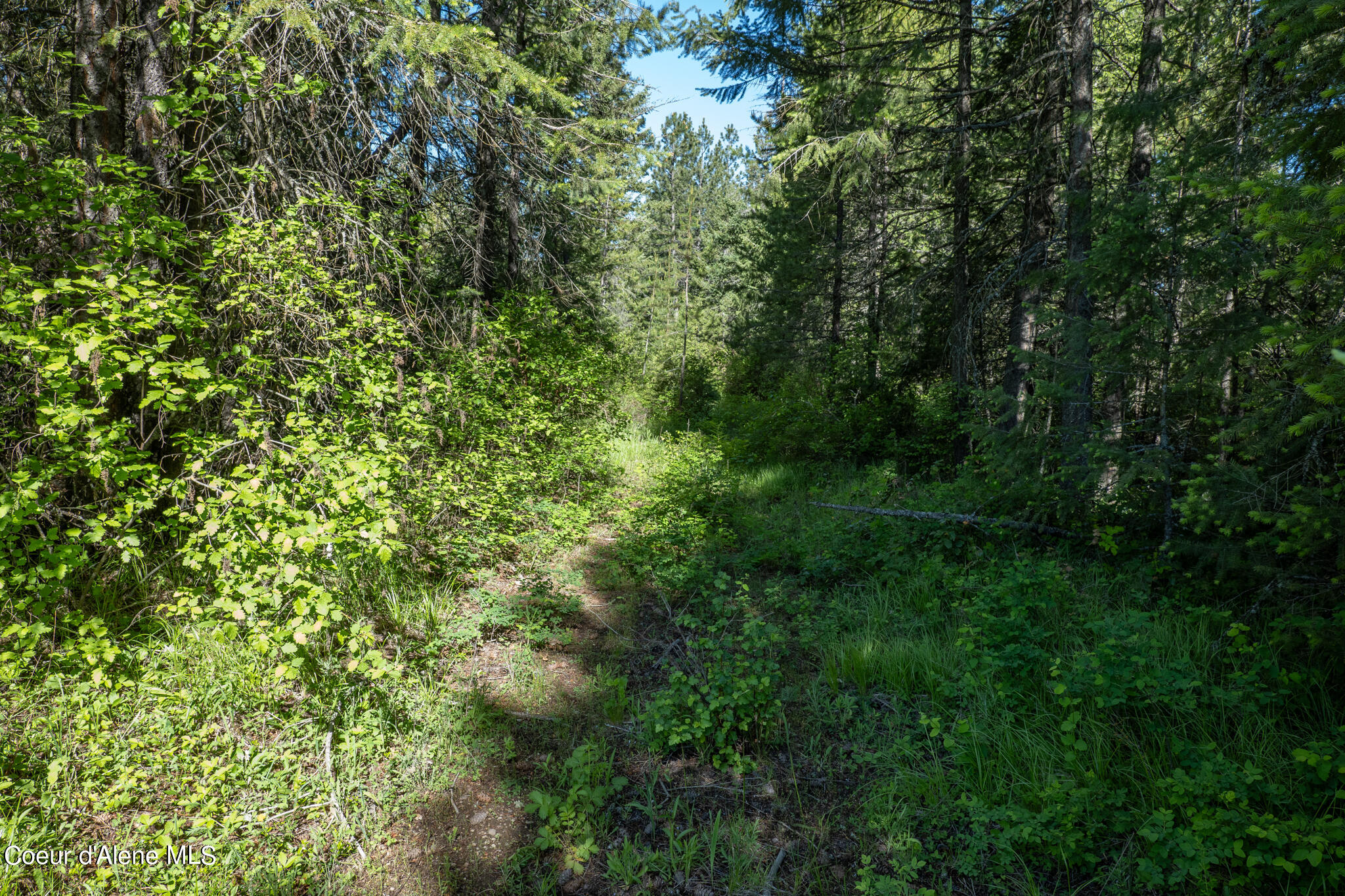 Lot 3 Flat Iron, Spirit Lake, Idaho image 35