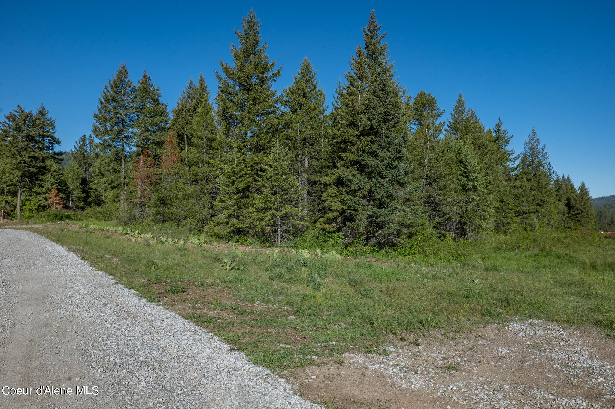 Lot 3 Flat Iron, Spirit Lake, Idaho image 26