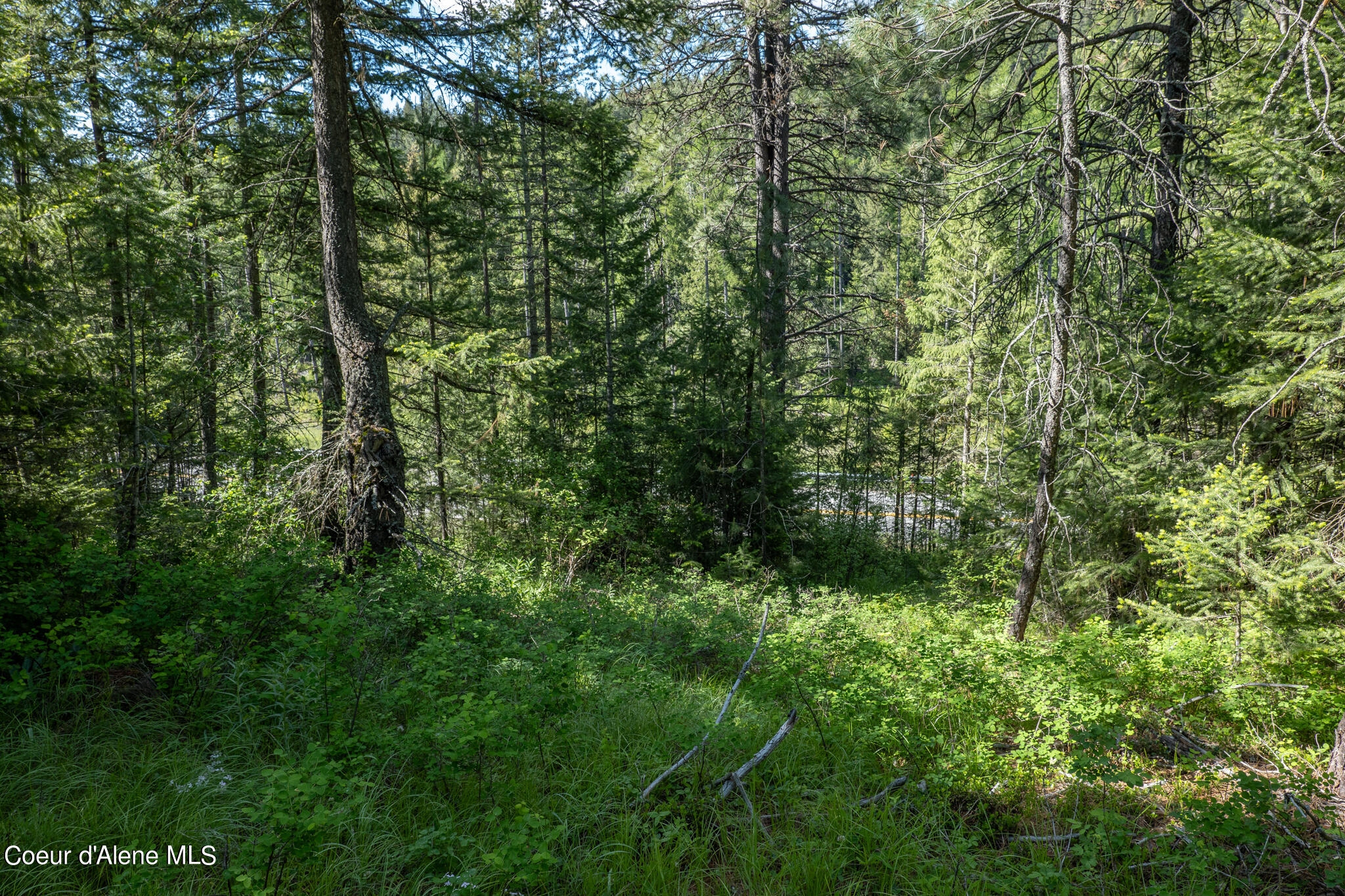 Lot 3 Flat Iron, Spirit Lake, Idaho image 39