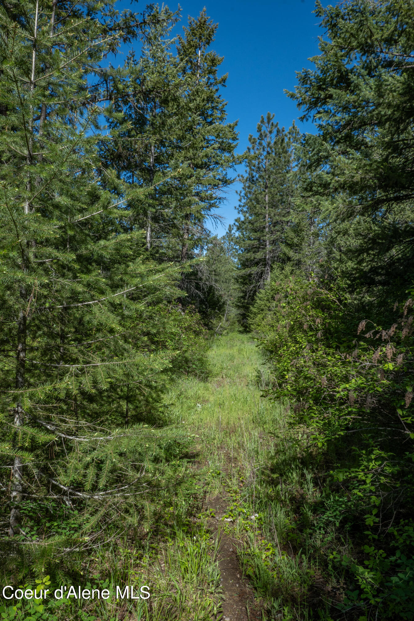 Lot 3 Flat Iron, Spirit Lake, Idaho image 37