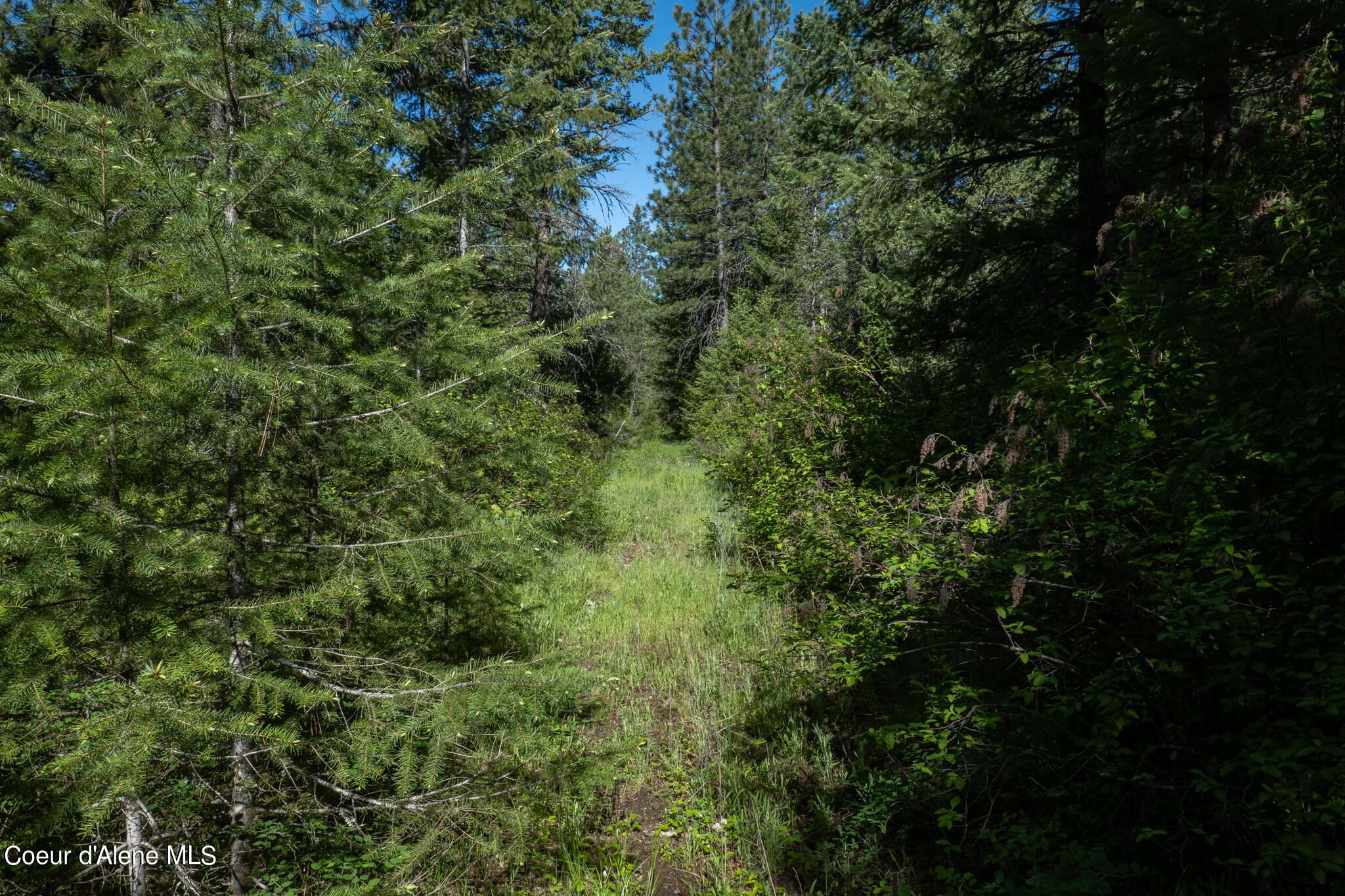 Lot 3 Flat Iron, Spirit Lake, Idaho image 36