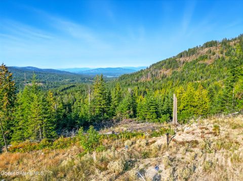 Vacant Land For Sale - NNA Orion 20acres<br/> Cocolalla, ID 83813