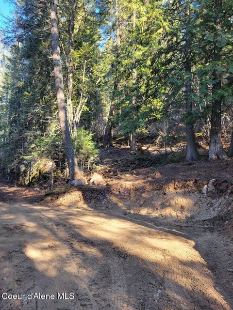 Vacant Land For Sale - NNA Id-200<br/> Hope, ID 83836