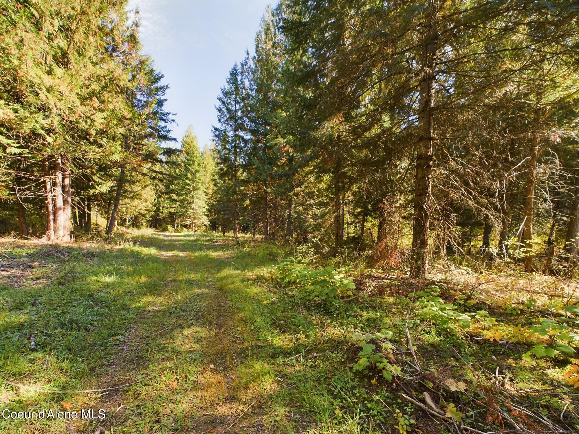 Lot 3 Bear Creek, Kingston, Idaho image 8