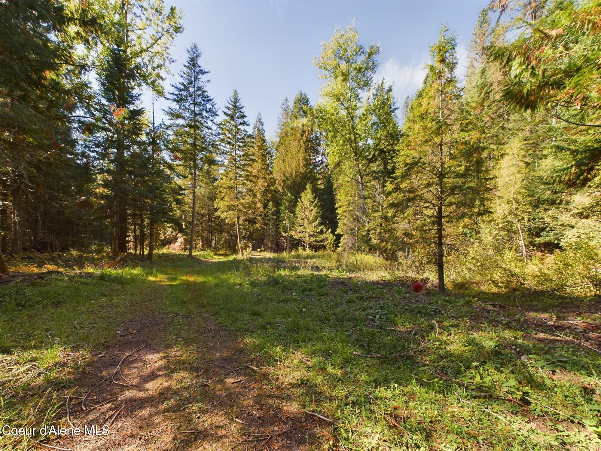 Lot 3 Bear Creek, Kingston, Idaho image 9