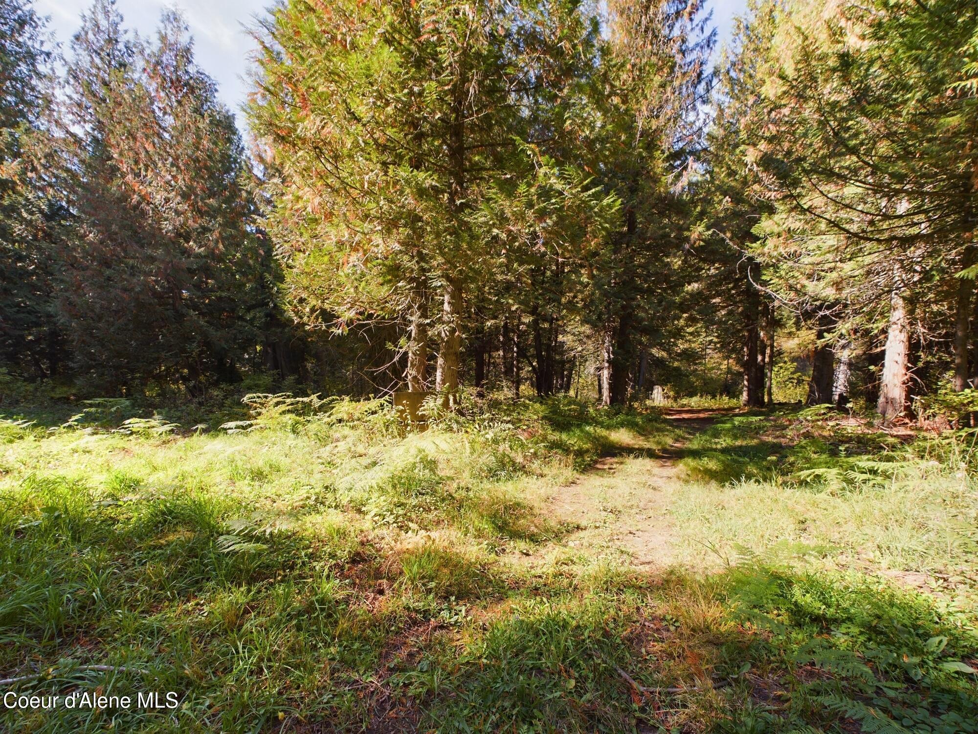 Lot 3 Bear Creek, Kingston, Idaho image 6