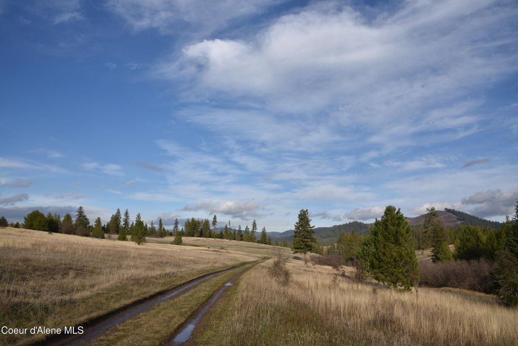 Photo of NKA Tyson Creek Creek, Santa, ID 83866 (MLS # 26-2828)