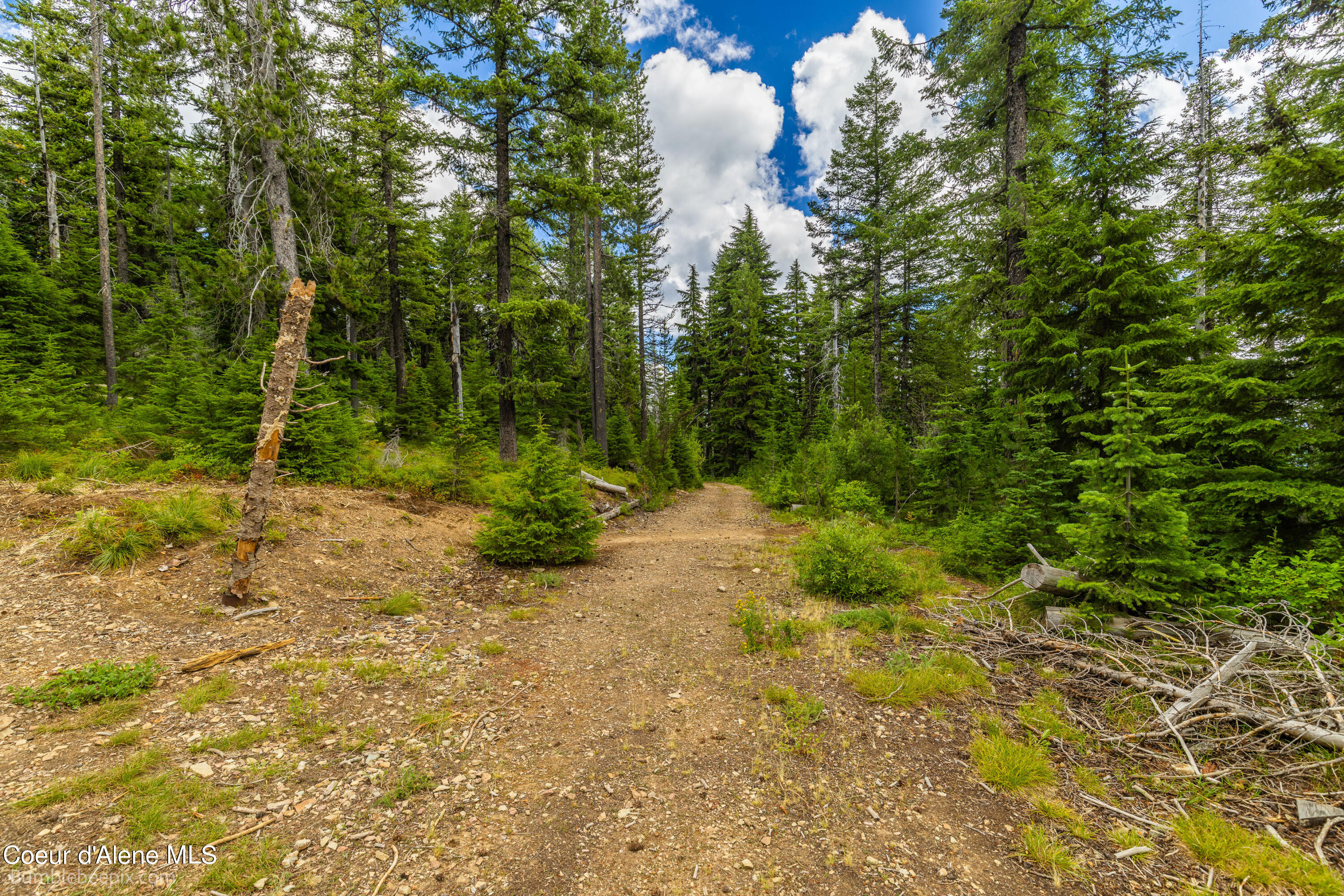 NNA Silver Mountain, Kellogg, Idaho image 48