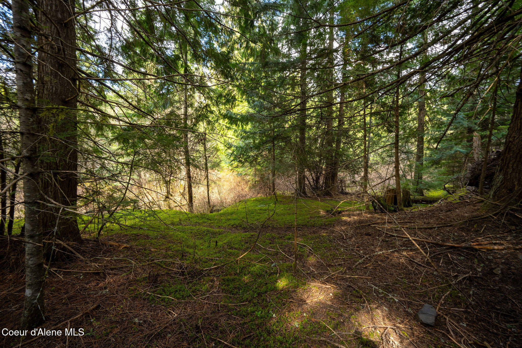 NKA Evans Creek, Medimont, Idaho image 11