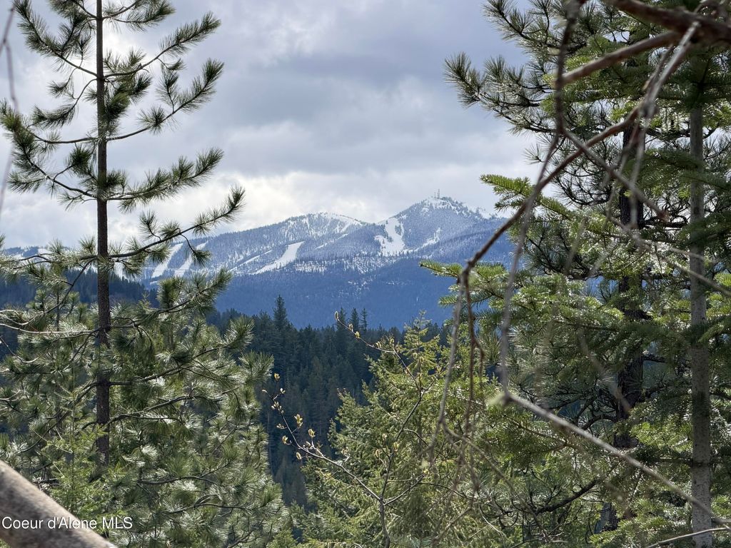 Photo of NNA CDA River Drive/McPhee Gulch, Kingston, ID 83839 (MLS # 26-3179)