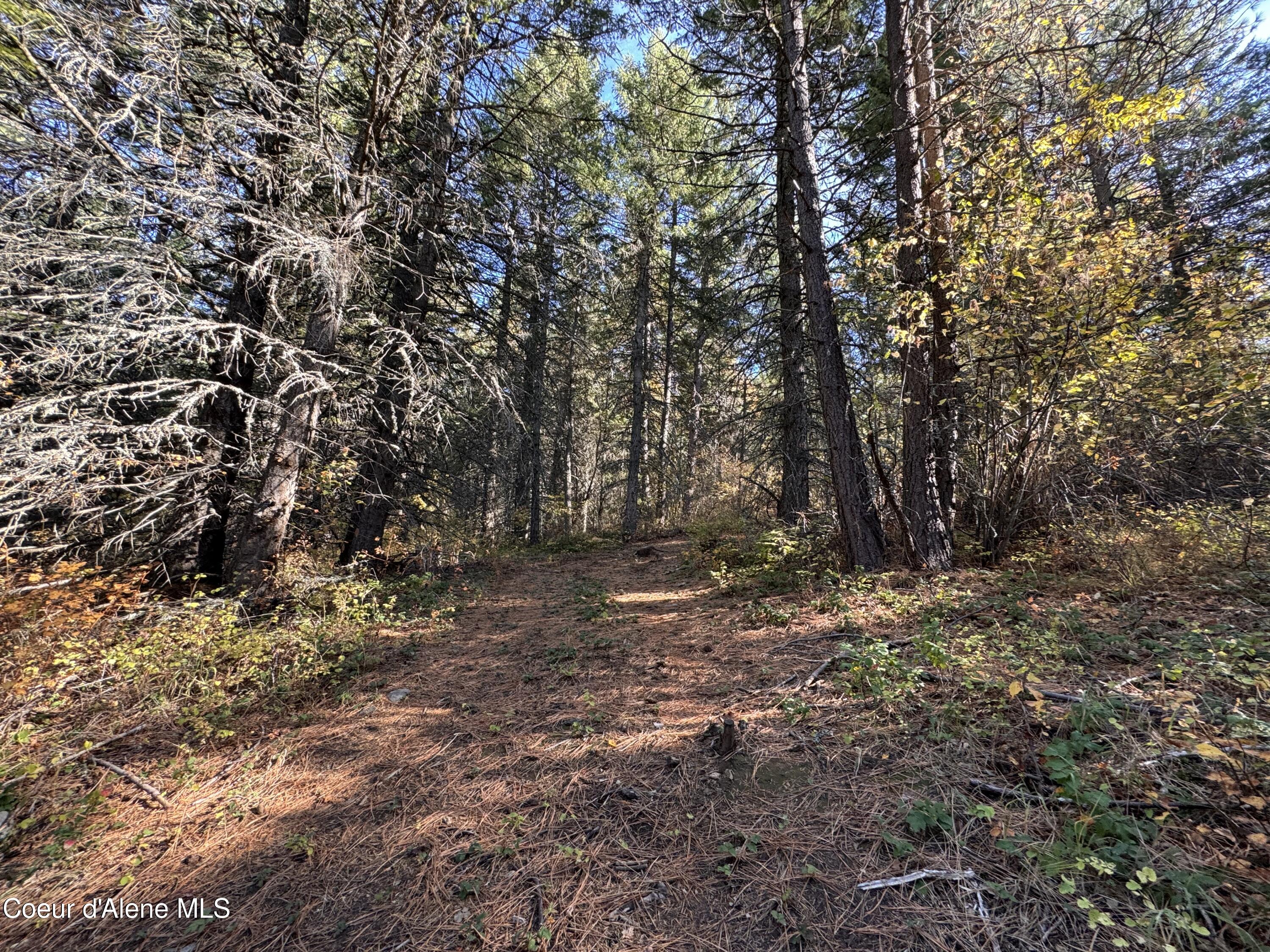 NNA Rocky Rd, Sagle, Texas image 6