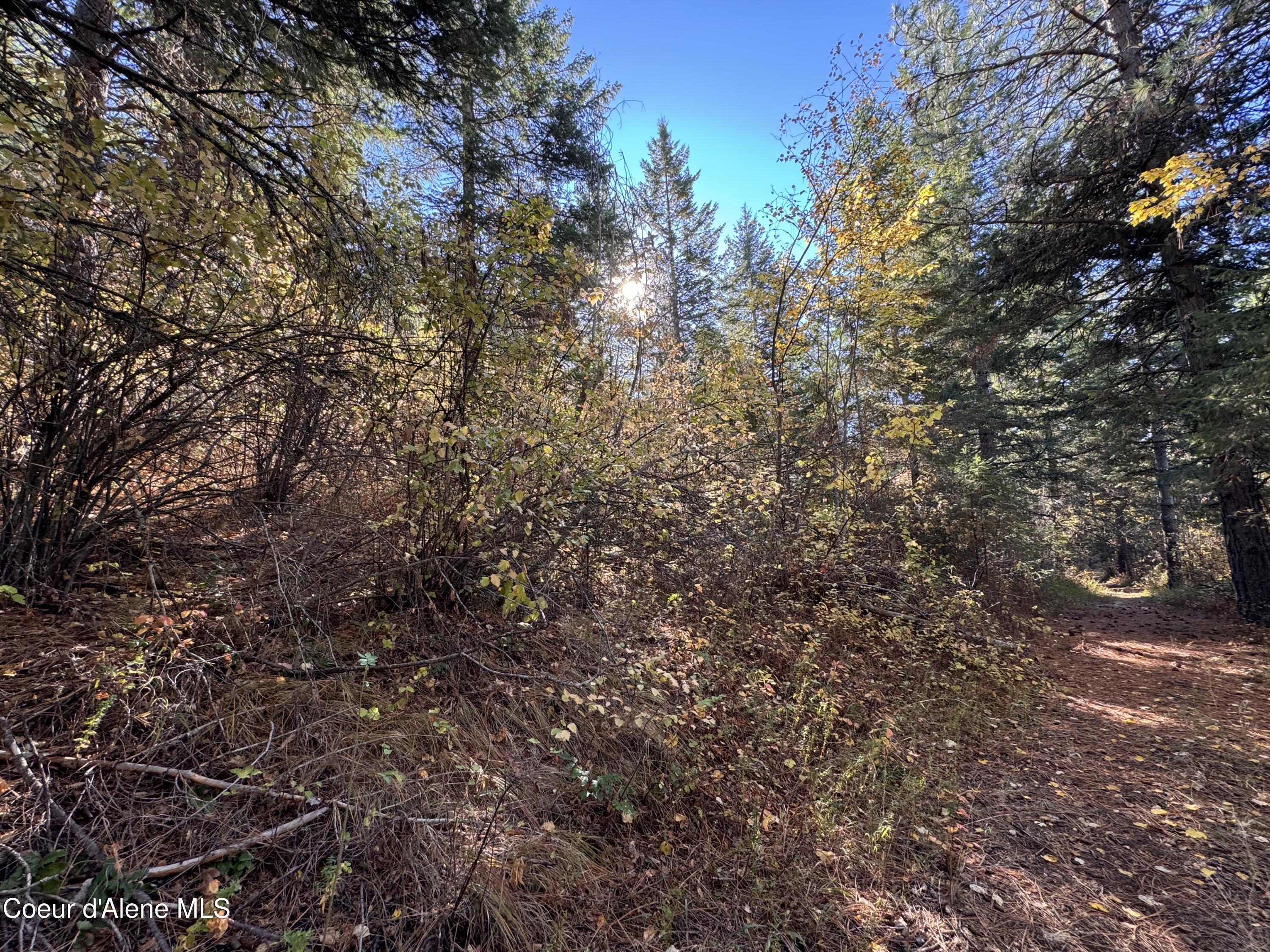 NNA Rocky Rd, Sagle, Texas image 12