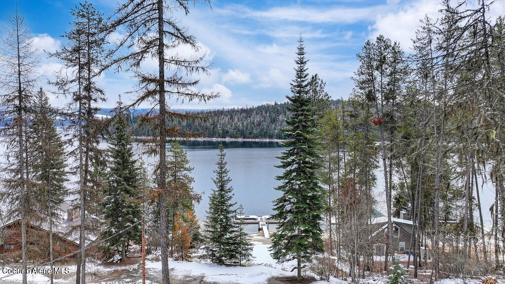 2106 S Kalispell Bay Rd, Priest Lake, Texas image 15