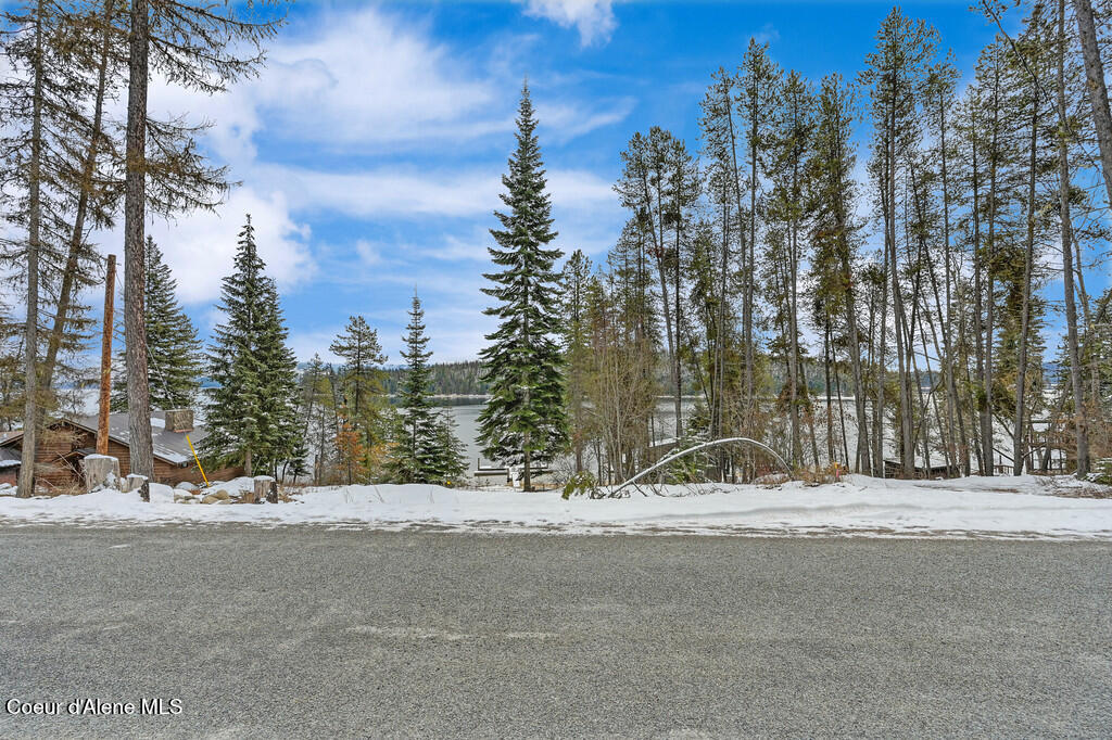 2106 S Kalispell Bay Rd, Priest Lake, Texas image 35