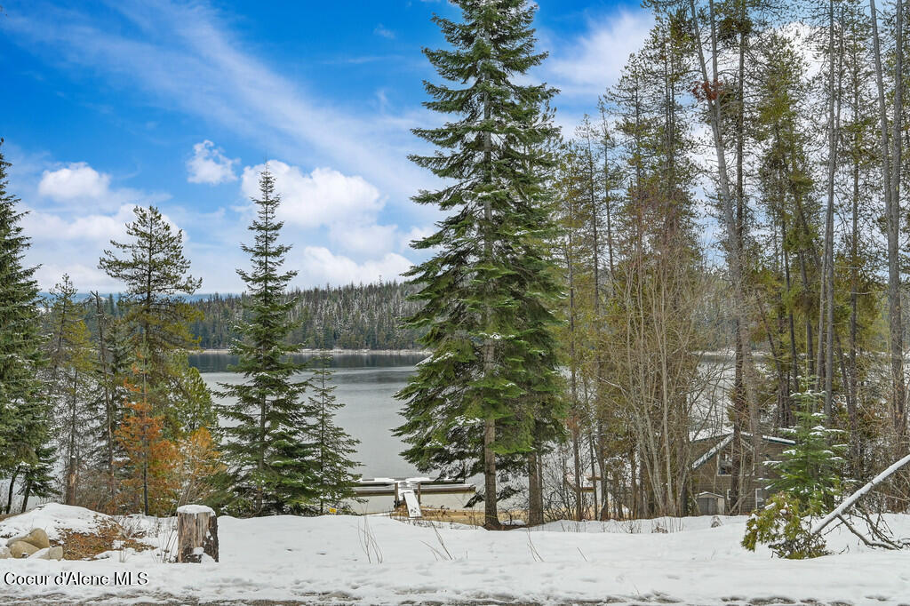 2106 S Kalispell Bay Rd, Priest Lake, Texas image 34