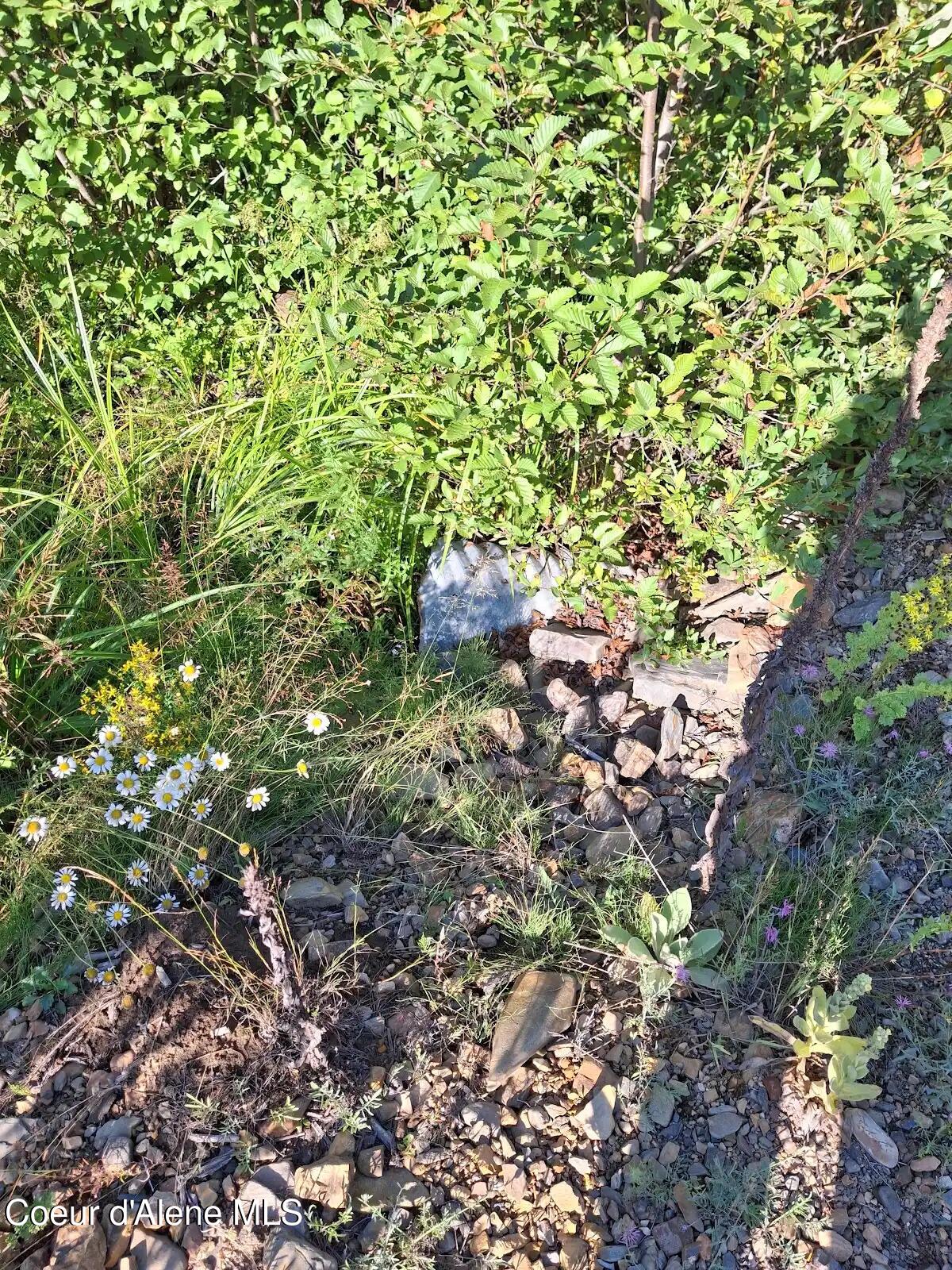 NKA N Beaver Creek Road, Wallace, Alaska image 6