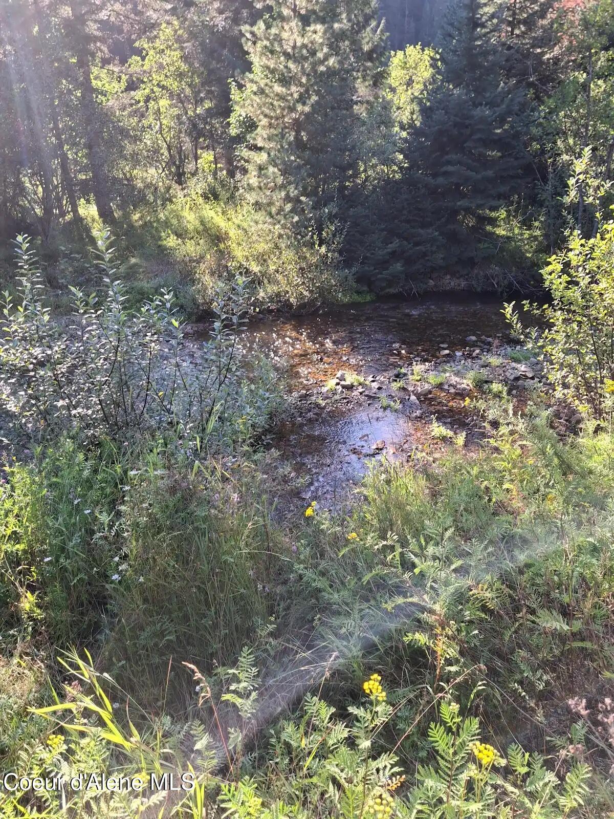 NKA N Beaver Creek Road, Wallace, Alaska image 21