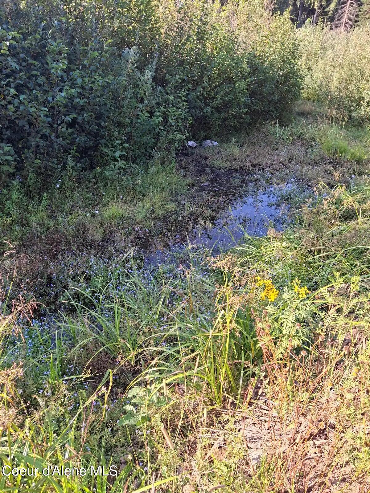 NKA N Beaver Creek Road, Wallace, Alaska image 18