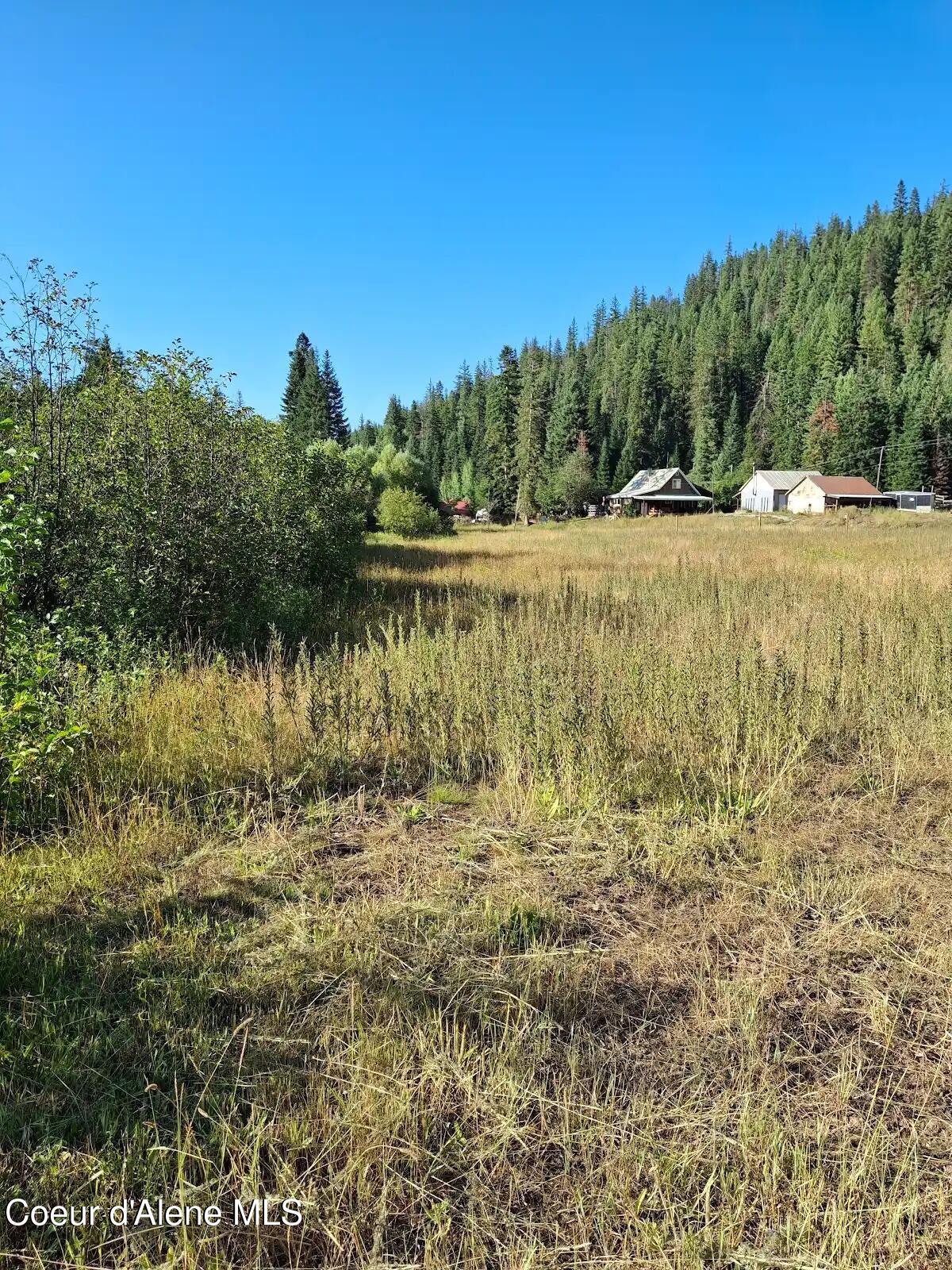 NKA N Beaver Creek Road, Wallace, Alaska image 3