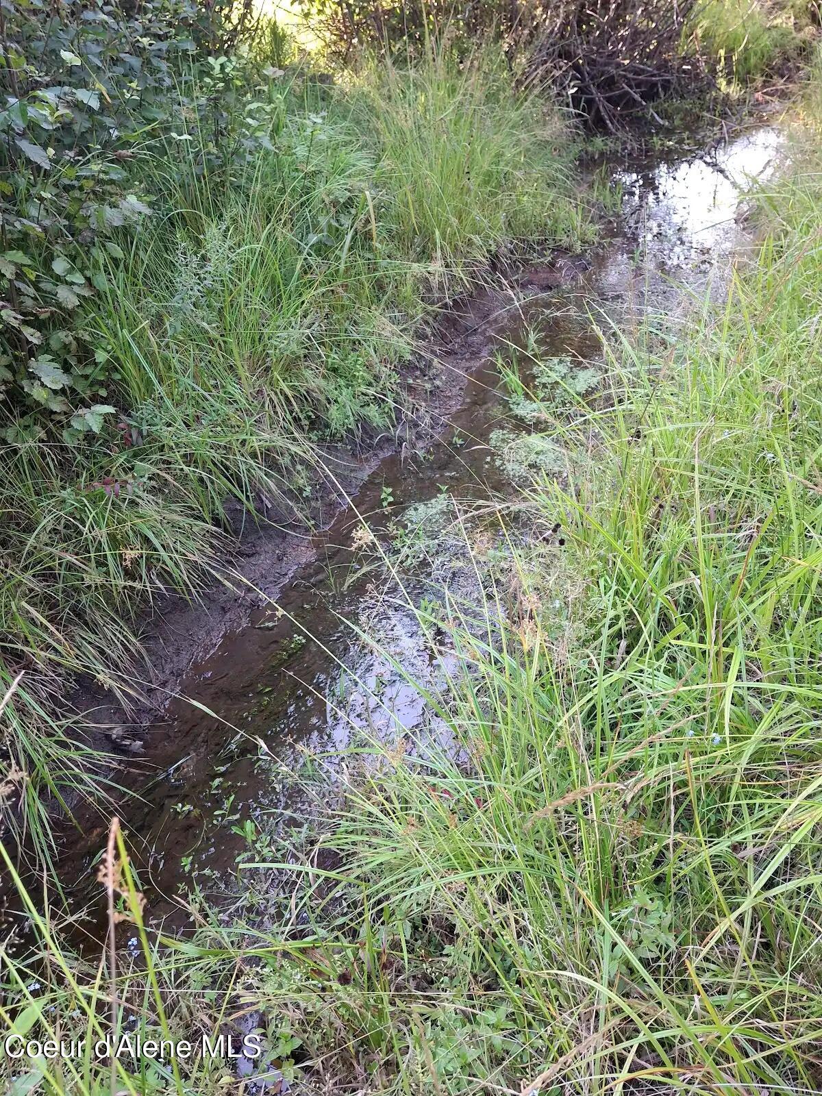 NKA N Beaver Creek Road, Wallace, Alaska image 11