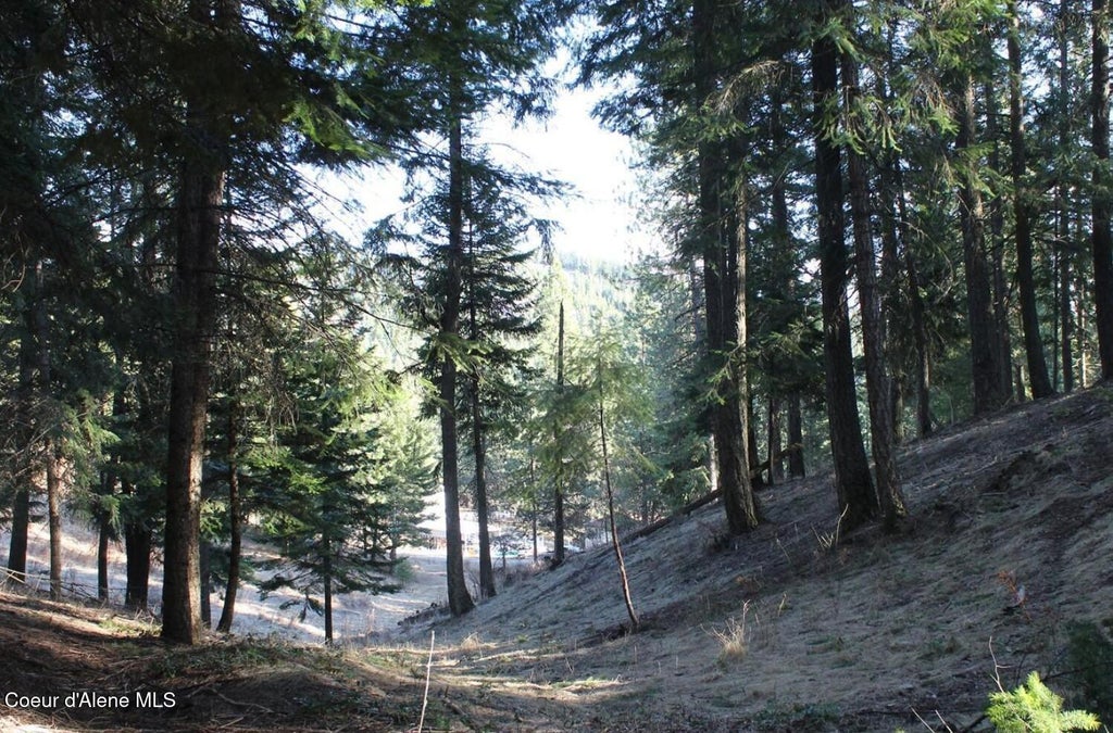 Photo of NKA E Haven Haven, Coeur dAlene, ID 83814 (MLS # 26-10261)