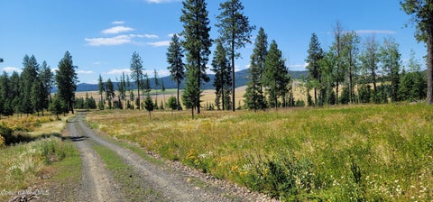 Vacant Land For Sale - NKA Ranch Road Road<br/> Plummer, ID 83851