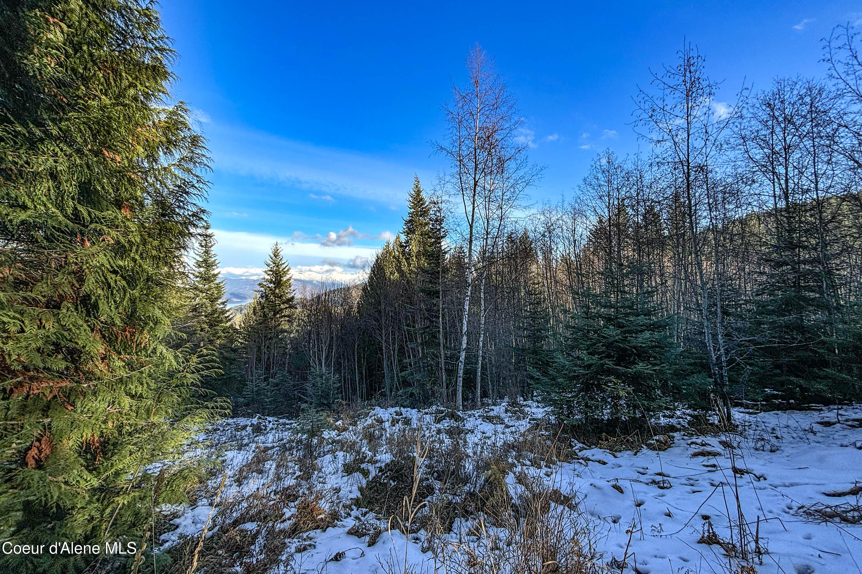 Lot 4B Moonbeam Road, Sagle, Idaho image 14