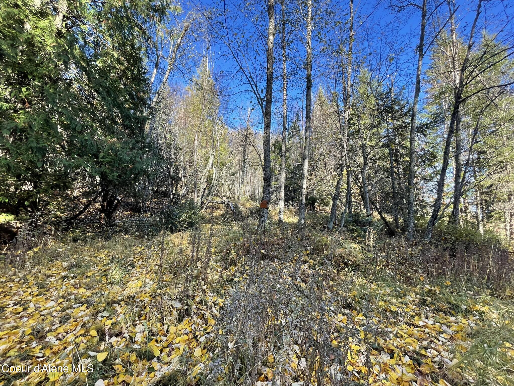 Lot 4B Moonbeam Road, Sagle, Idaho image 18