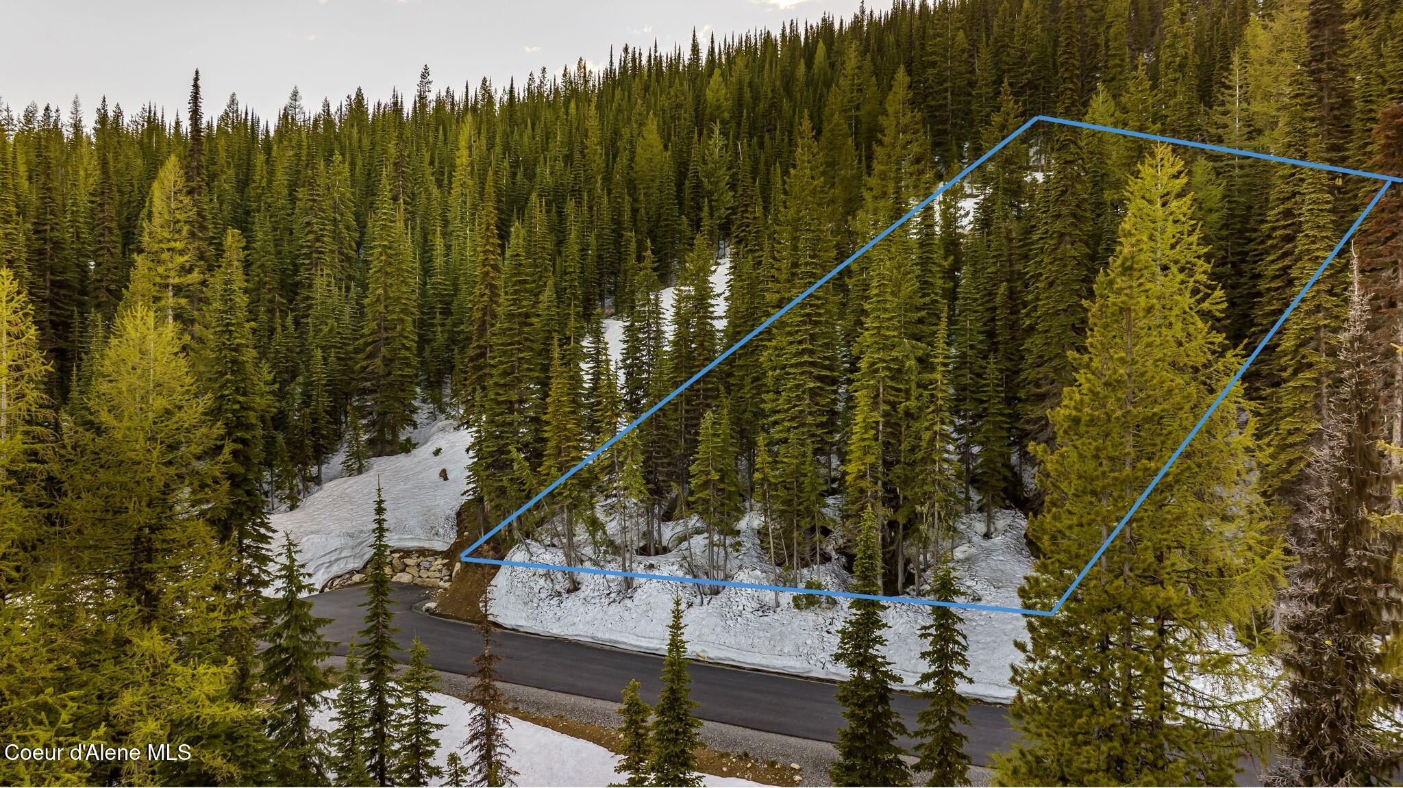 NNA Snag Line #57, Sandpoint, Idaho image 7