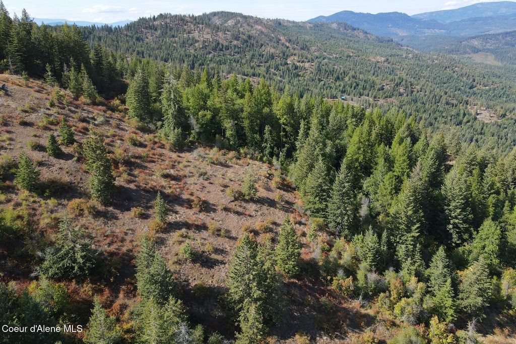 Photo of NNA 10 Acres Upper Manley Creek Creek, Laclede, ID 83841 (MLS # 26-3590)