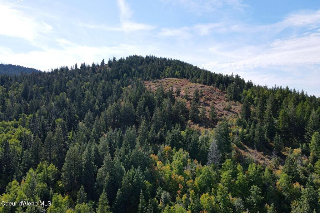 Photo of NNA 10 Acres Upper Manley Creek Creek, Laclede, ID 83841 (MLS # 26-3590)