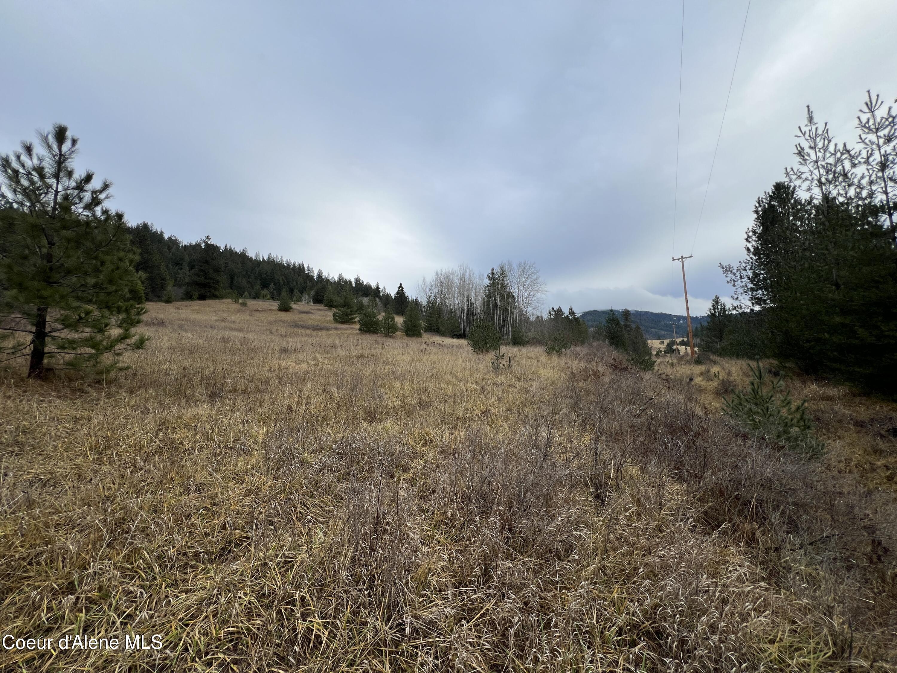 NKA S Willow Creek, Medimont, West Virginia image 12
