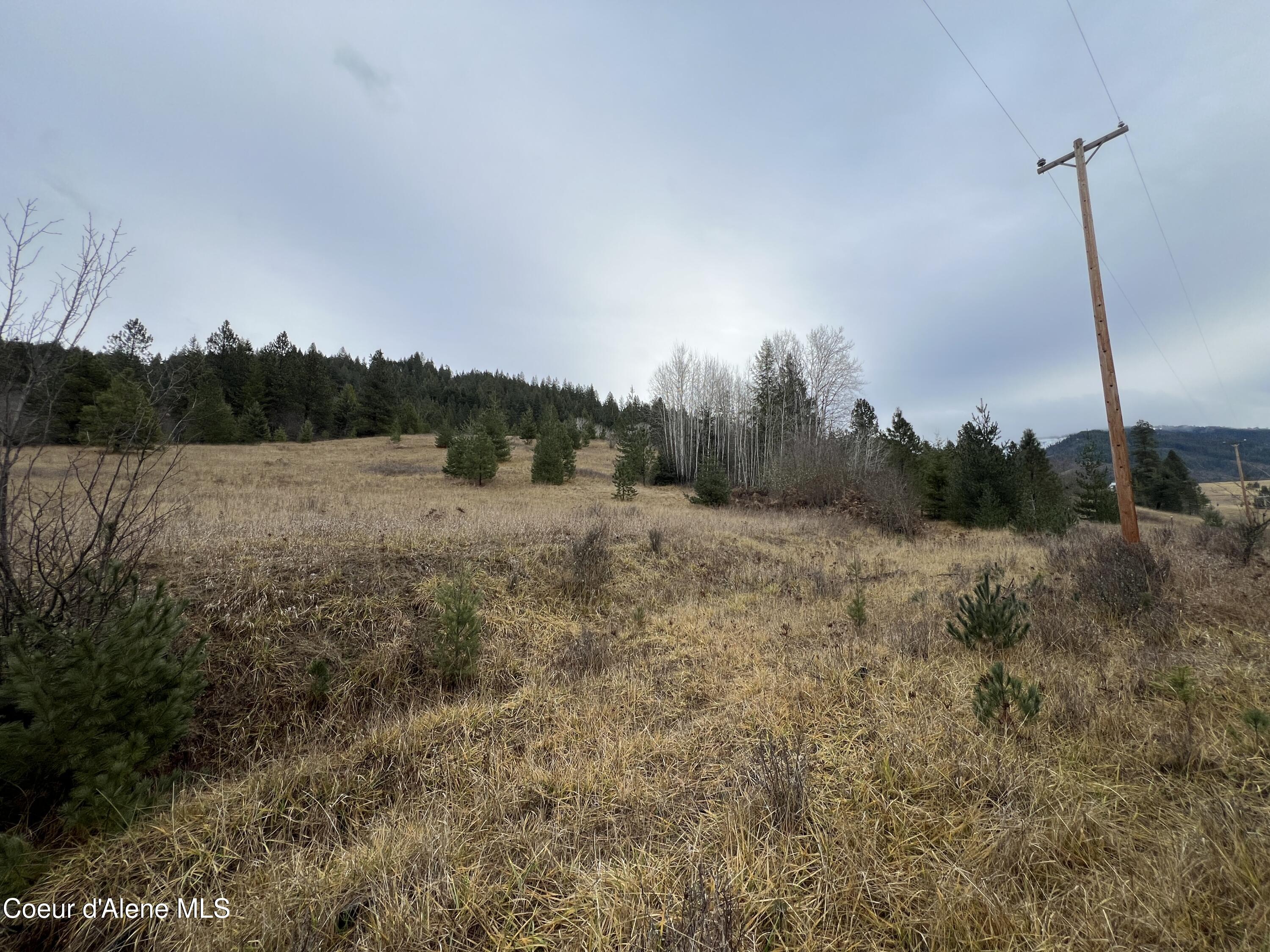 NKA S Willow Creek, Medimont, West Virginia image 9